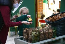 Projeto “Viajando pela Natureza” desperta consciência ecológica nas crianças do Grupo III