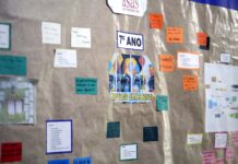 Estímulo à pesquisa e autonomia para desenvolver novos olhares