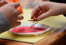 Estudando a matéria, suas combinações e métodos de separação