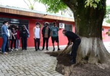 Lembranças preciosas guardadas em Terra Firme