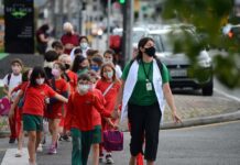 Orientação urbana, paisagismo e cidadania