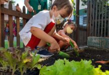 Meio ambiente e cidadania na escola Meio ambiente na Escola