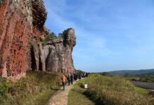 Parque Estadual de Vila Velha recebe Fundamental II