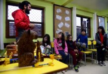 Uma lição de diversidade